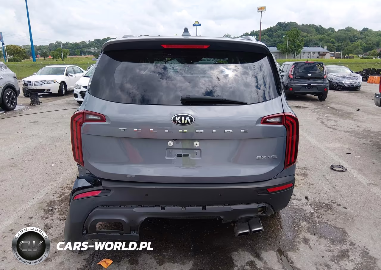 2021 Kia Telluride Ex VIN:5XYP34HC6MG178331 - 17