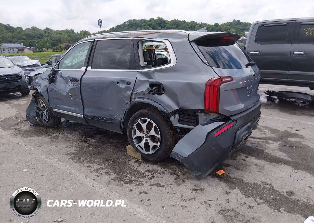 2021 Kia Telluride Ex VIN:5XYP34HC6MG178331 - 3