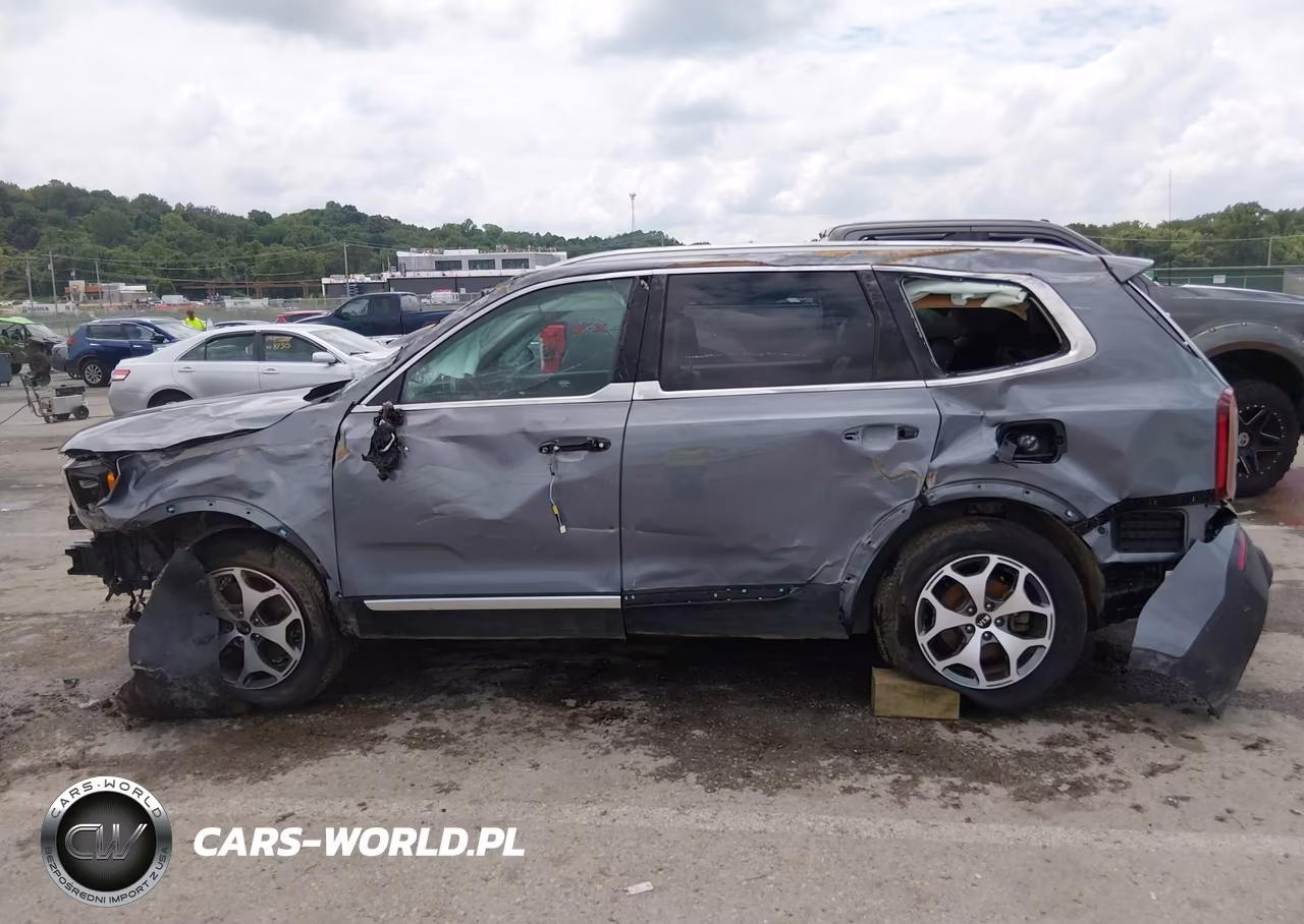 2021 Kia Telluride Ex VIN:5XYP34HC6MG178331 - 6