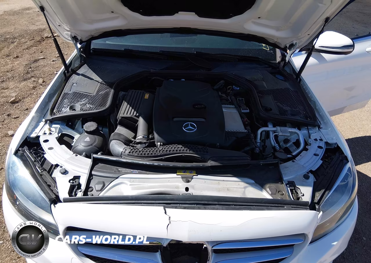 2018 Mercedes-Benz C 300 VIN:55SWF4JB9JU238611 - 10