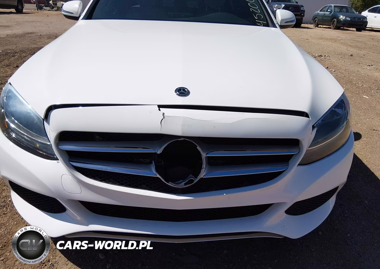 2018 Mercedes-Benz C 300 VIN:55SWF4JB9JU238611 - 17