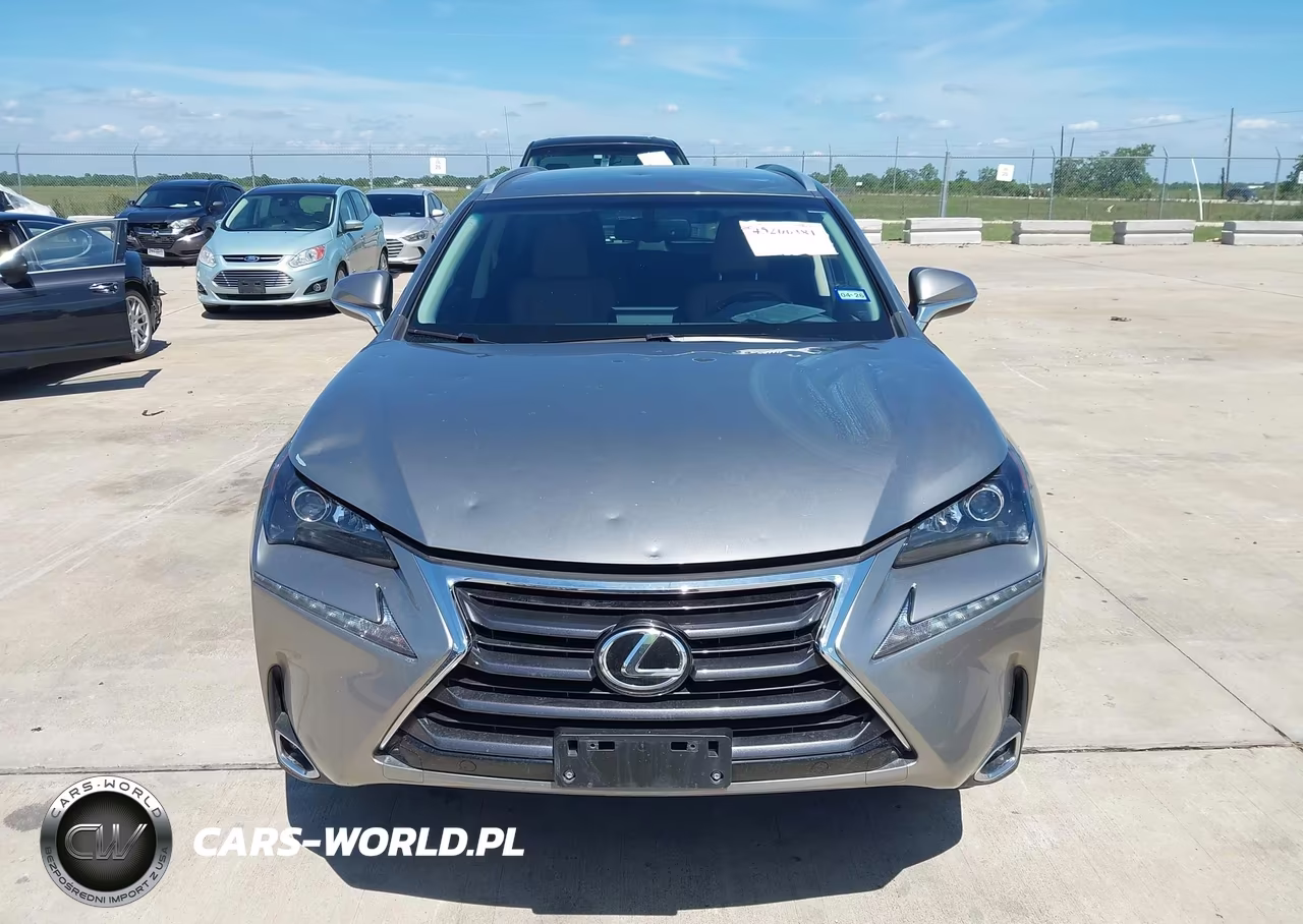 2017 Lexus Nx 200T VIN:JTJYARBZ7H2054862 - 12