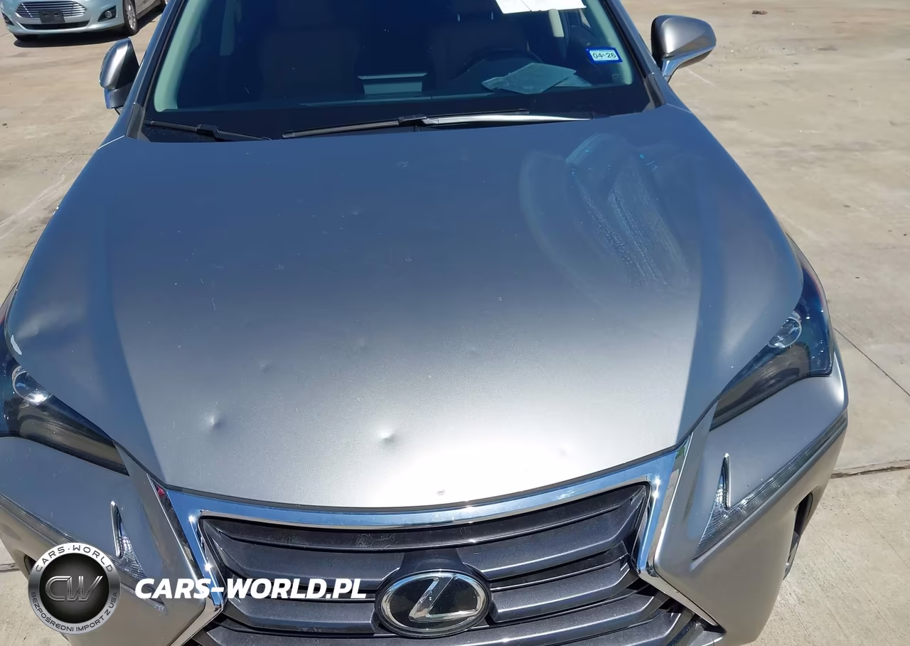 2017 Lexus Nx 200T VIN:JTJYARBZ7H2054862 - 6