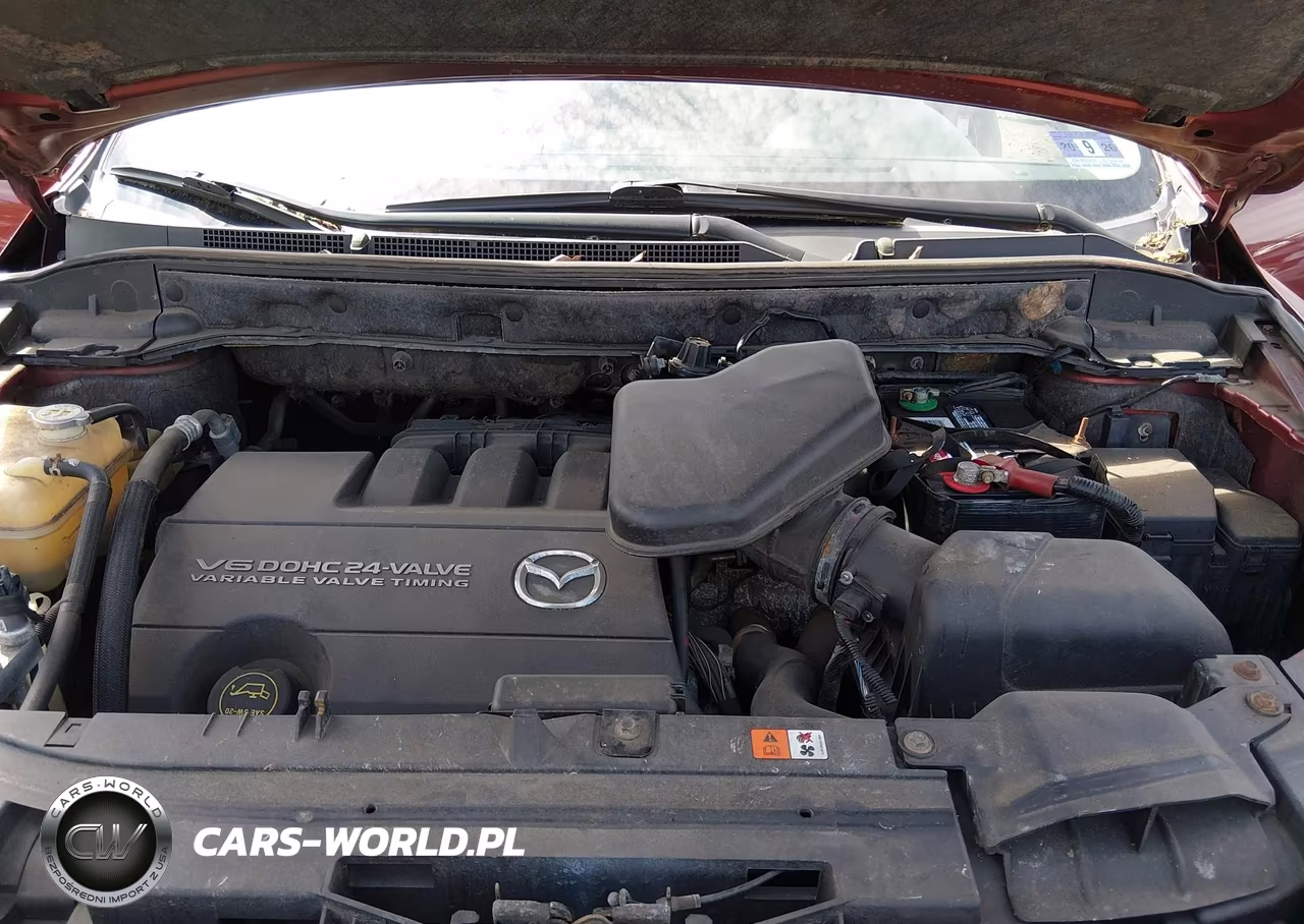 2009 Mazda Cx-9 Touring VIN:JM3TB38V690170411 - 10