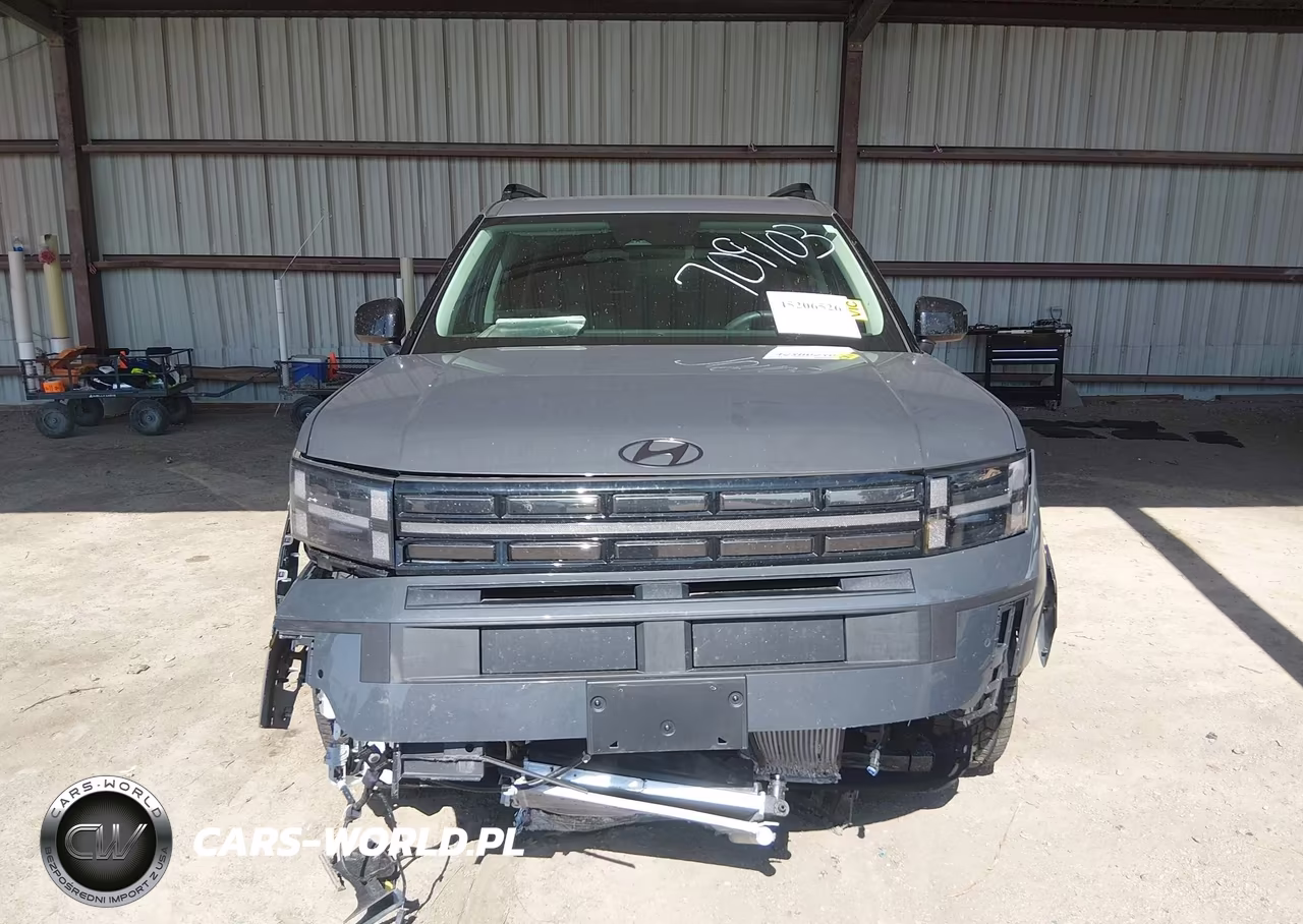 2025 Hyundai Santa Fe Xrt VIN:5NMP3DGL6SH149142 - 11
