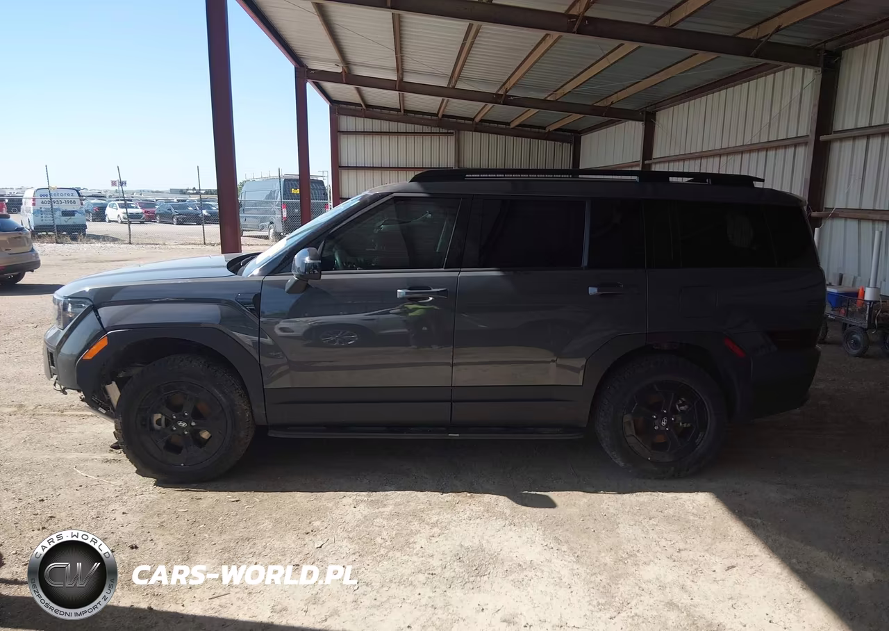 2025 Hyundai Santa Fe Xrt VIN:5NMP3DGL6SH149142 - 13