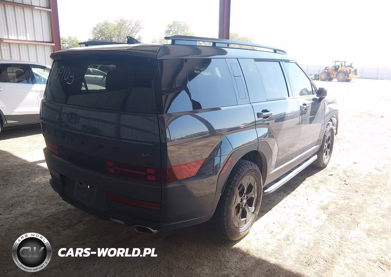 2025 Hyundai Santa Fe Xrt VIN:5NMP3DGL6SH149142 - 4