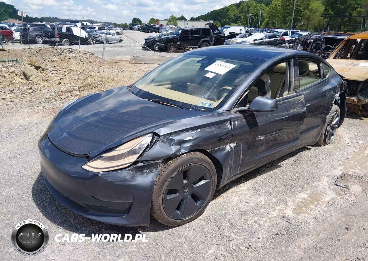 2023 Tesla Model 3 Rear-Wheel Drive VIN:5YJ3E1EA4PF671950 - 2