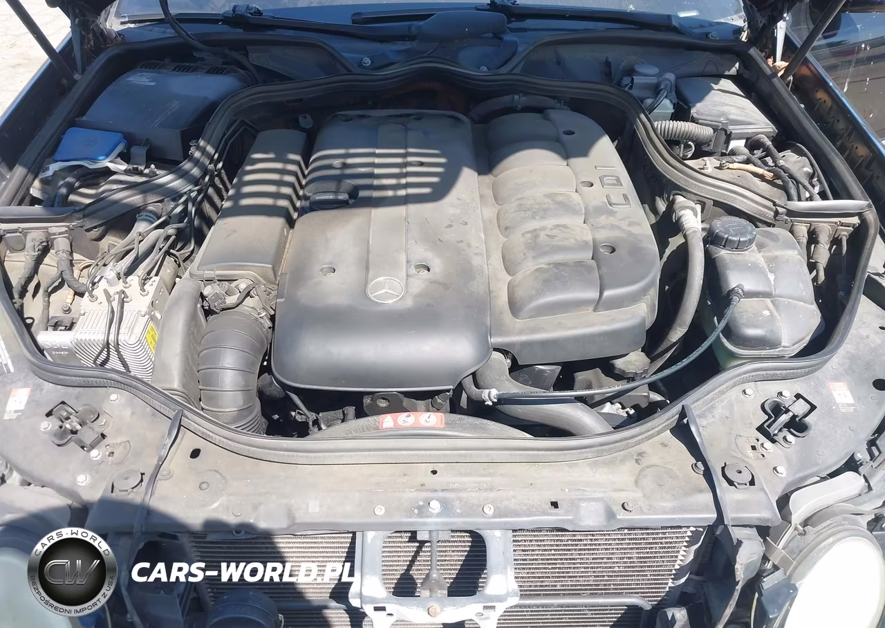 2005 Mercedes-Benz E 320 Cdi VIN:WDBUF26J55A666136 - 10
