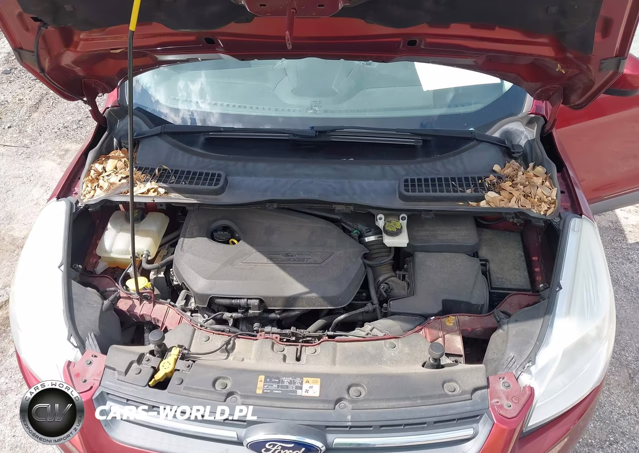 2014 Ford Escape Se VIN:1FMCU0GX2EUE25347 - 10
