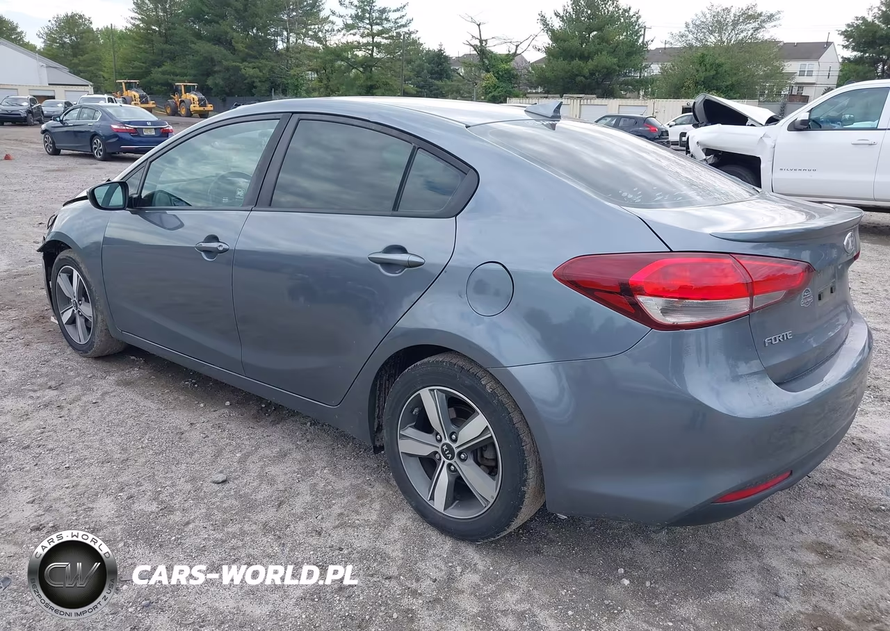 2018 Kia Forte S VIN:3KPFL4A72JE195533 - 3