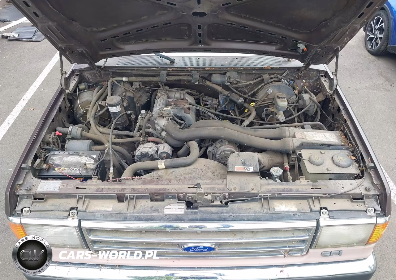 1989 Ford F150 VIN:1FTDF15H9KPA17006 - 10
