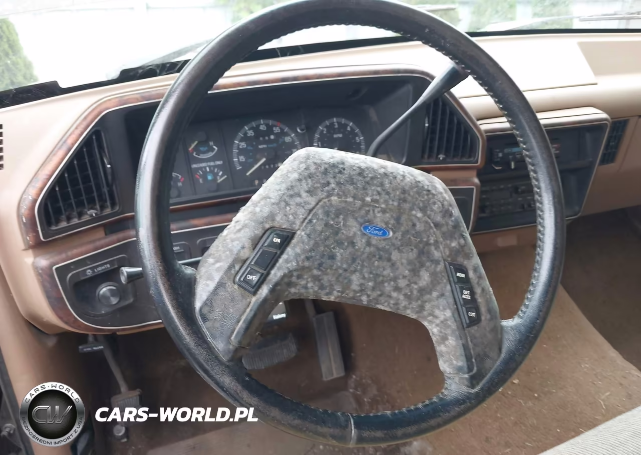 1989 Ford F150 VIN:1FTDF15H9KPA17006 - 13