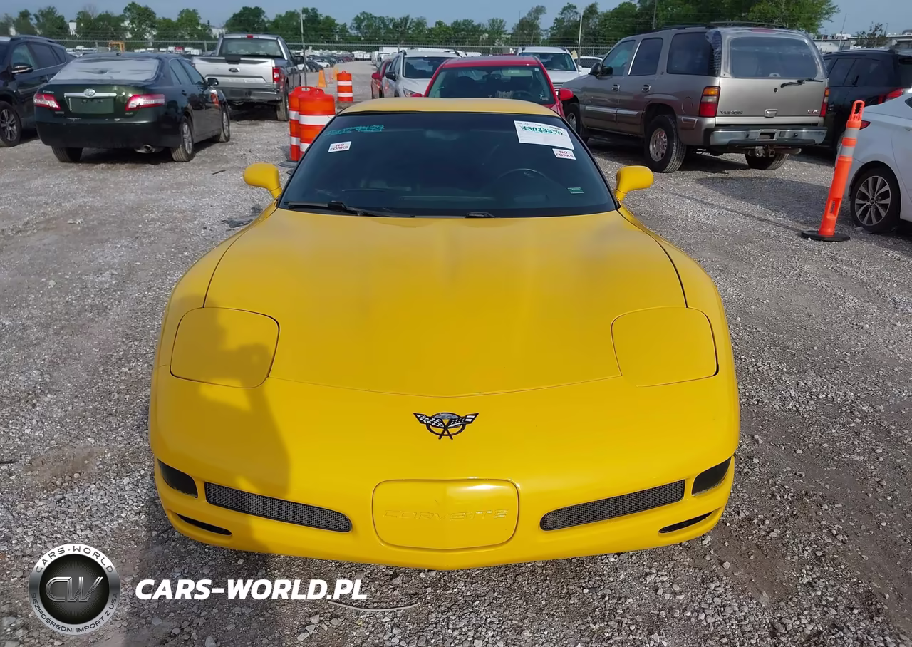 2003 Chevrolet Corvette Z06 Hardtop VIN:1G1YY12S835126168 - 12
