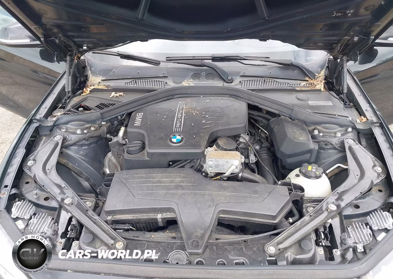 2016 BMW 228I xDrive VIN:WBA1L9C57GV324144 - 10