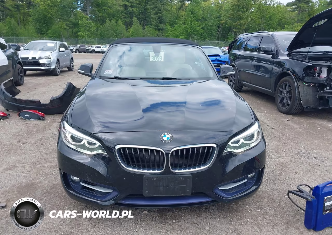 2016 BMW 228I xDrive VIN:WBA1L9C57GV324144 - 13