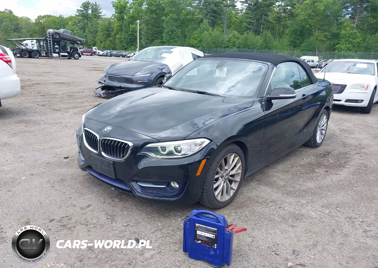 2016 BMW 228I xDrive VIN:WBA1L9C57GV324144 - 2