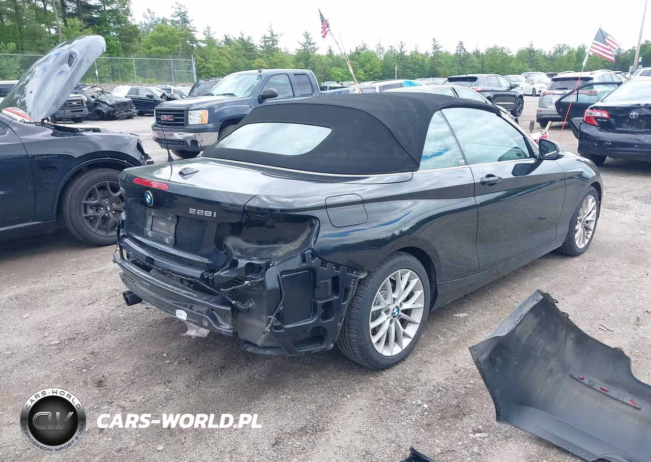 2016 BMW 228I xDrive VIN:WBA1L9C57GV324144 - 4