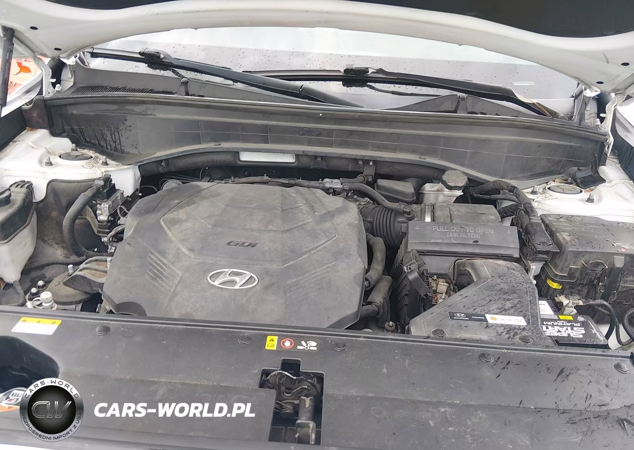 2020 Hyundai Palisade Sel VIN:KM8R24HE6LU124503 - 10
