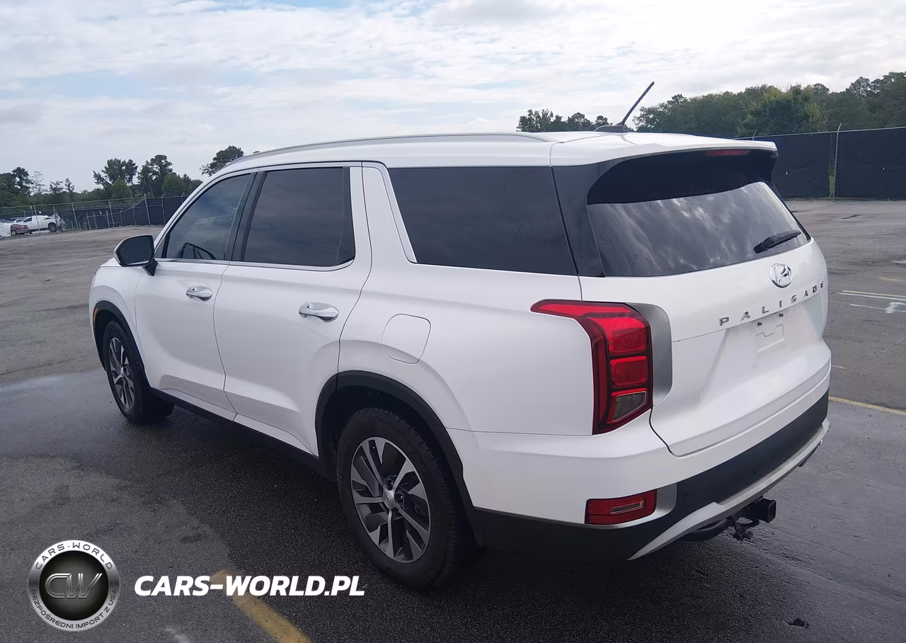 2020 Hyundai Palisade Sel VIN:KM8R24HE6LU124503 - 3