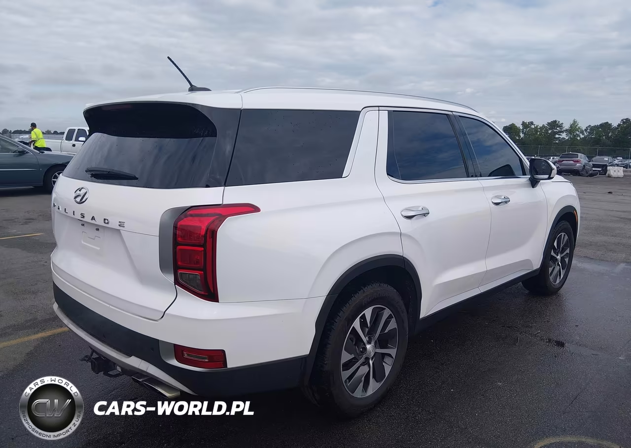 2020 Hyundai Palisade Sel VIN:KM8R24HE6LU124503 - 4