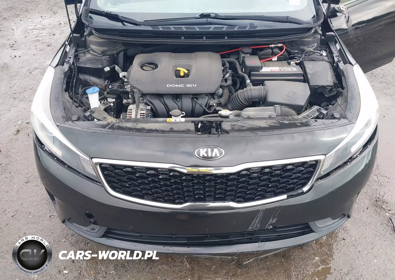 2017 Kia Forte Lx VIN:3KPFK4A73HE067847 - 10