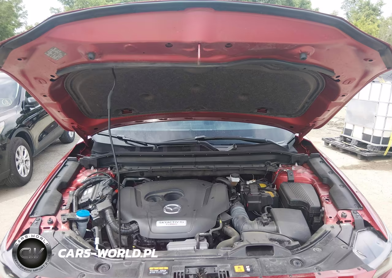 2024 Mazda Cx-5 2.5 Turbo Premium VIN:JM3KFBDY5R0365555 - 10