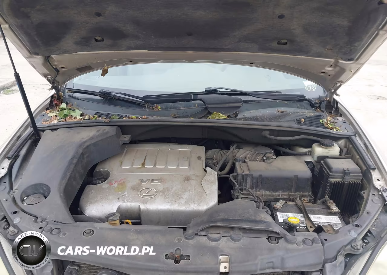 2007 Lexus Rx 350 VIN:2T2HK31U27C009410 - 10