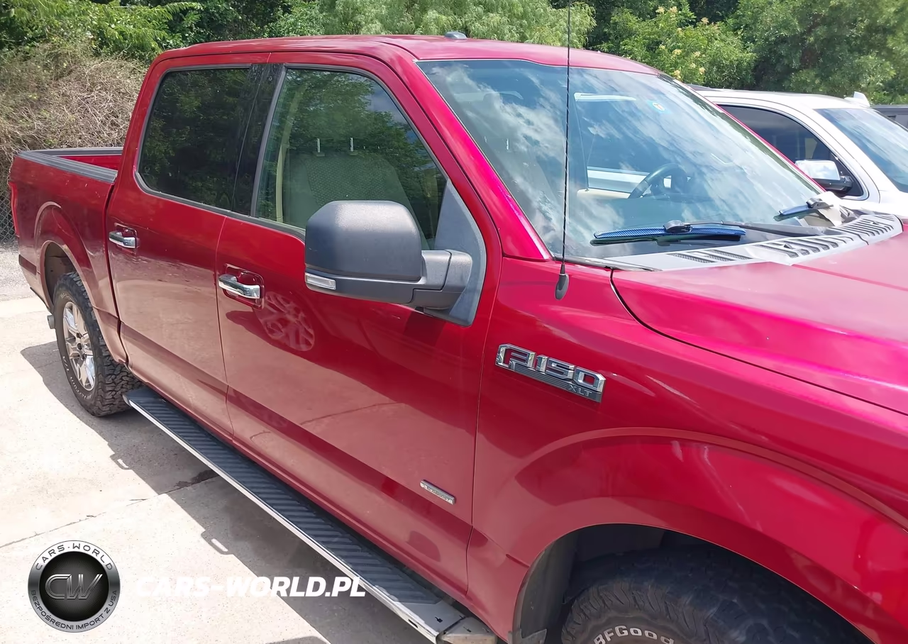 2015 Ford F-150 Xlt VIN:1FTEW1CP2FKF01195 - 13