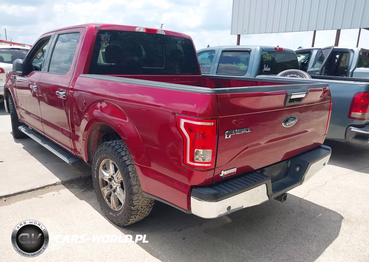 2015 Ford F-150 Xlt VIN:1FTEW1CP2FKF01195 - 3