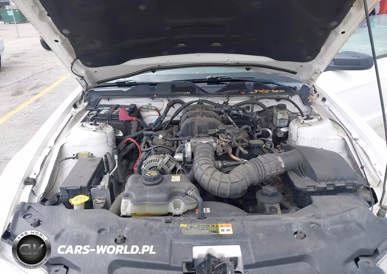 2010 Ford Mustang V6-V6 Premium VIN:1ZVBP8AN3A5173817 - 10