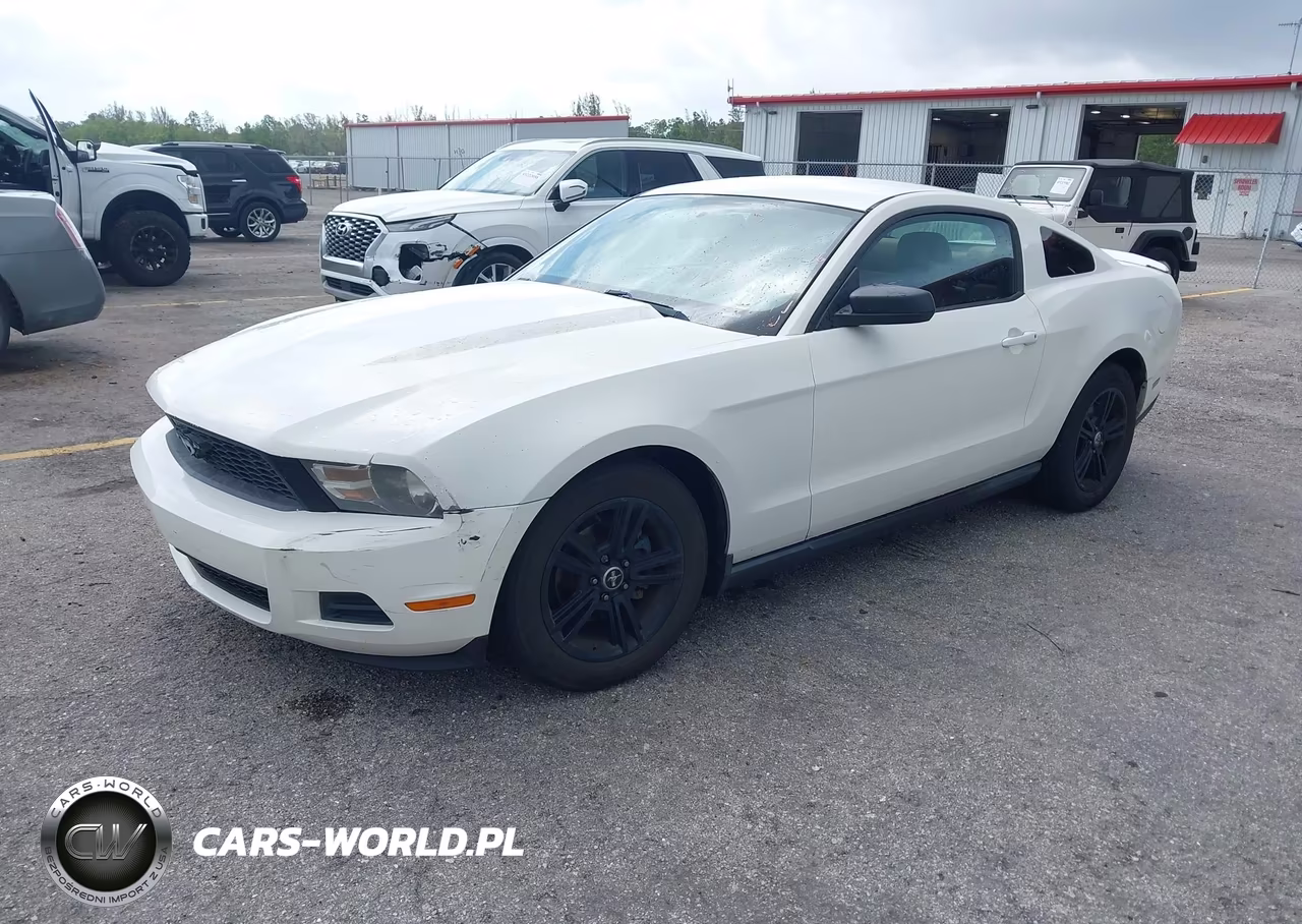 2010 Ford Mustang V6-V6 Premium VIN:1ZVBP8AN3A5173817 - 2