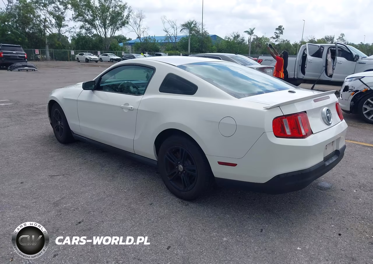 2010 Ford Mustang V6-V6 Premium VIN:1ZVBP8AN3A5173817 - 3