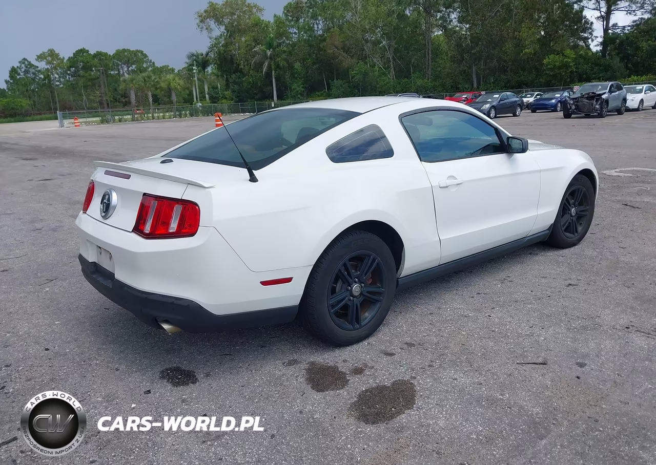 2010 Ford Mustang V6-V6 Premium VIN:1ZVBP8AN3A5173817 - 4