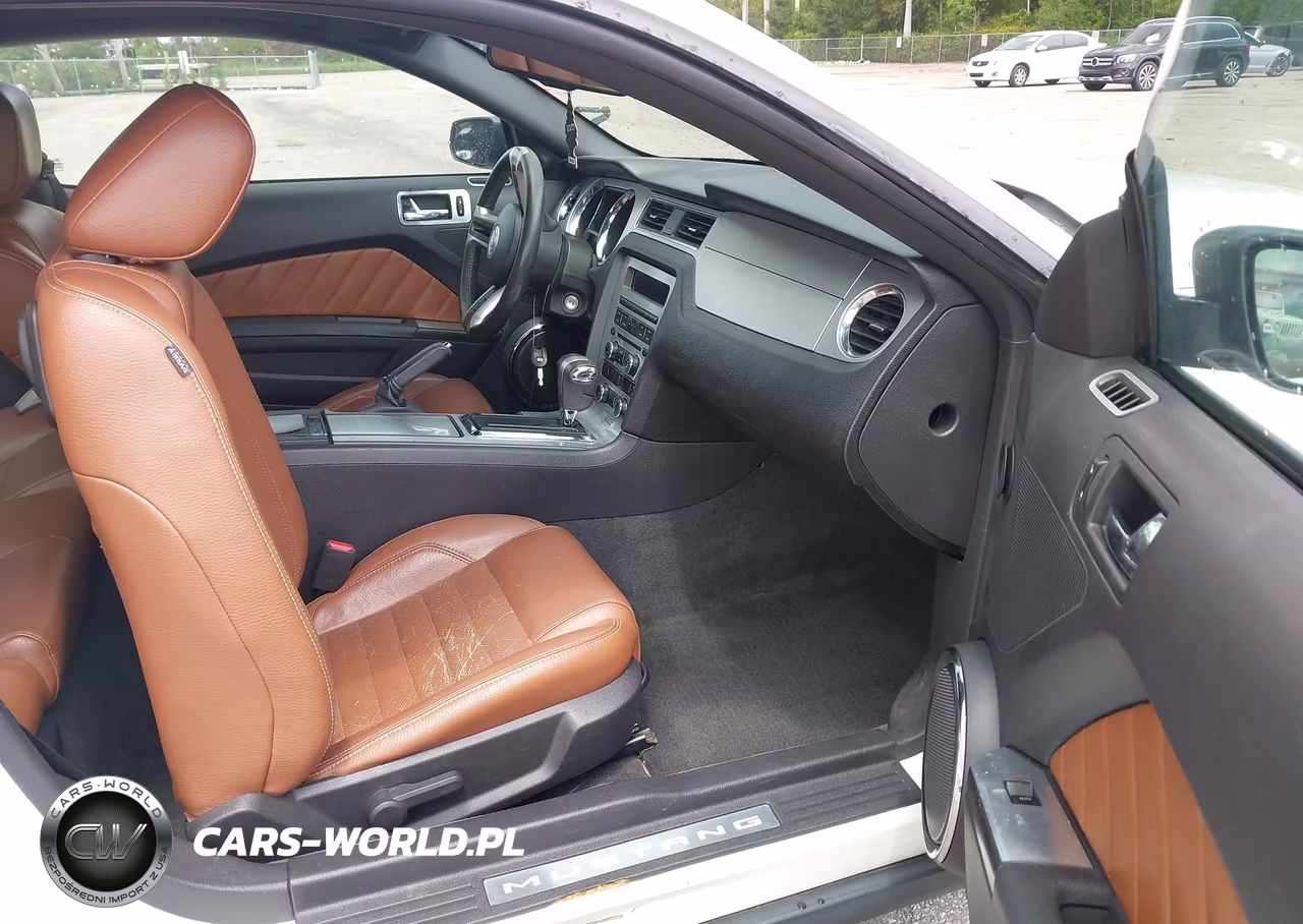 2010 Ford Mustang V6-V6 Premium VIN:1ZVBP8AN3A5173817 - 5