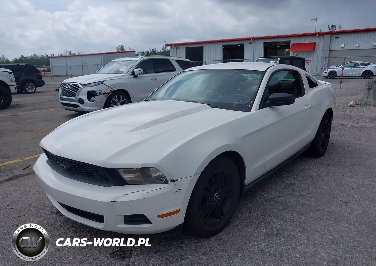 2010 Ford Mustang V6-V6 Premium VIN:1ZVBP8AN3A5173817 - 6