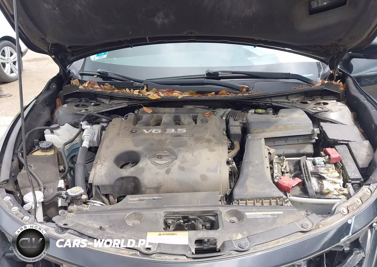 2013 Nissan Altima 3.5 Sv VIN:1N4BL3AP4DC198444 - 10