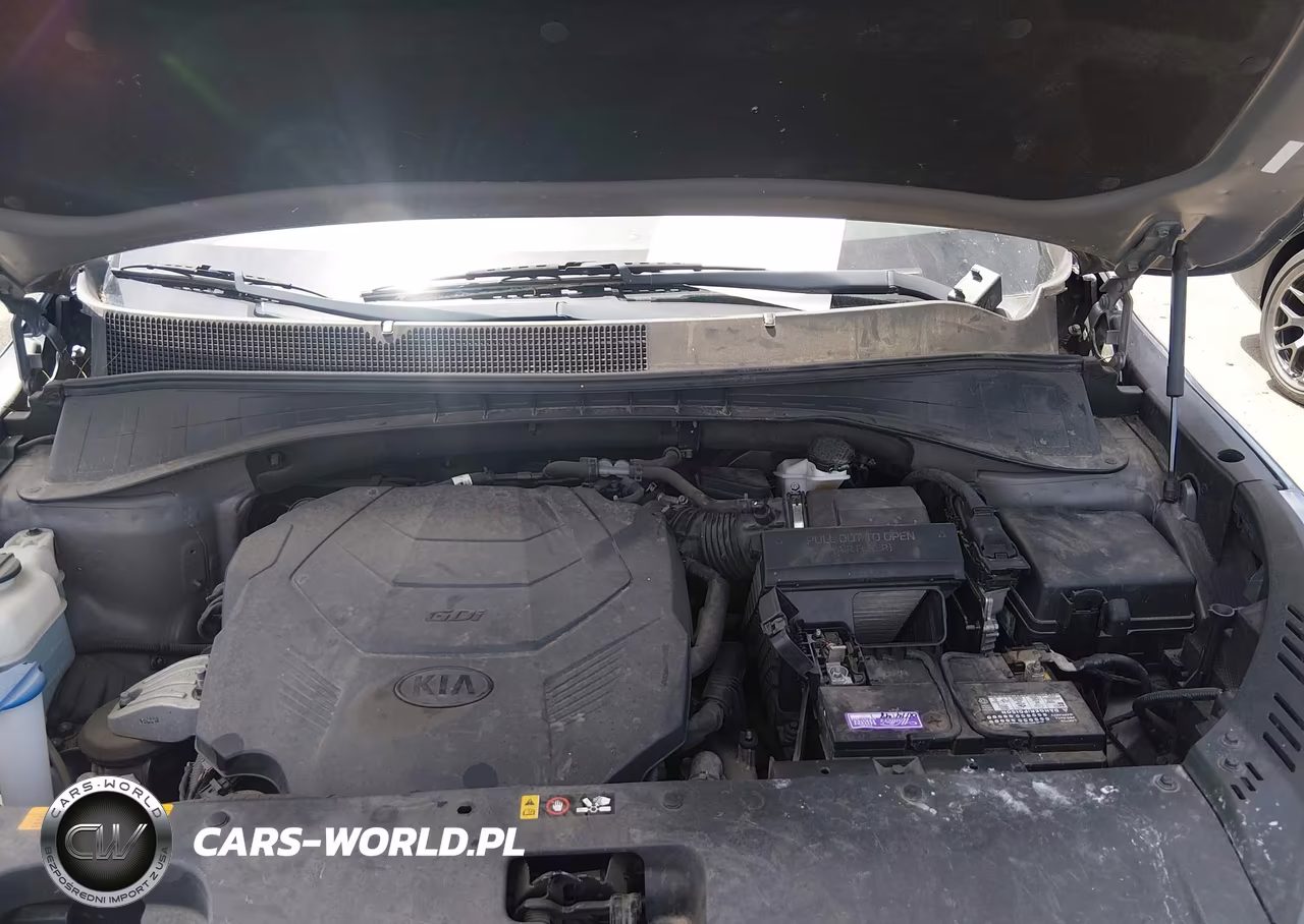 2019 Kia Sorento 3.3L Sxl VIN:5XYPKDA58KG459932 - 10