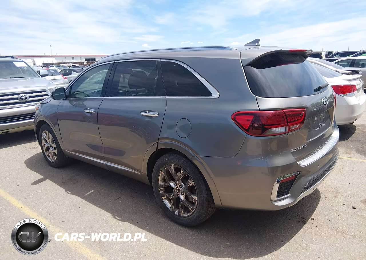 2019 Kia Sorento 3.3L Sxl VIN:5XYPKDA58KG459932 - 14