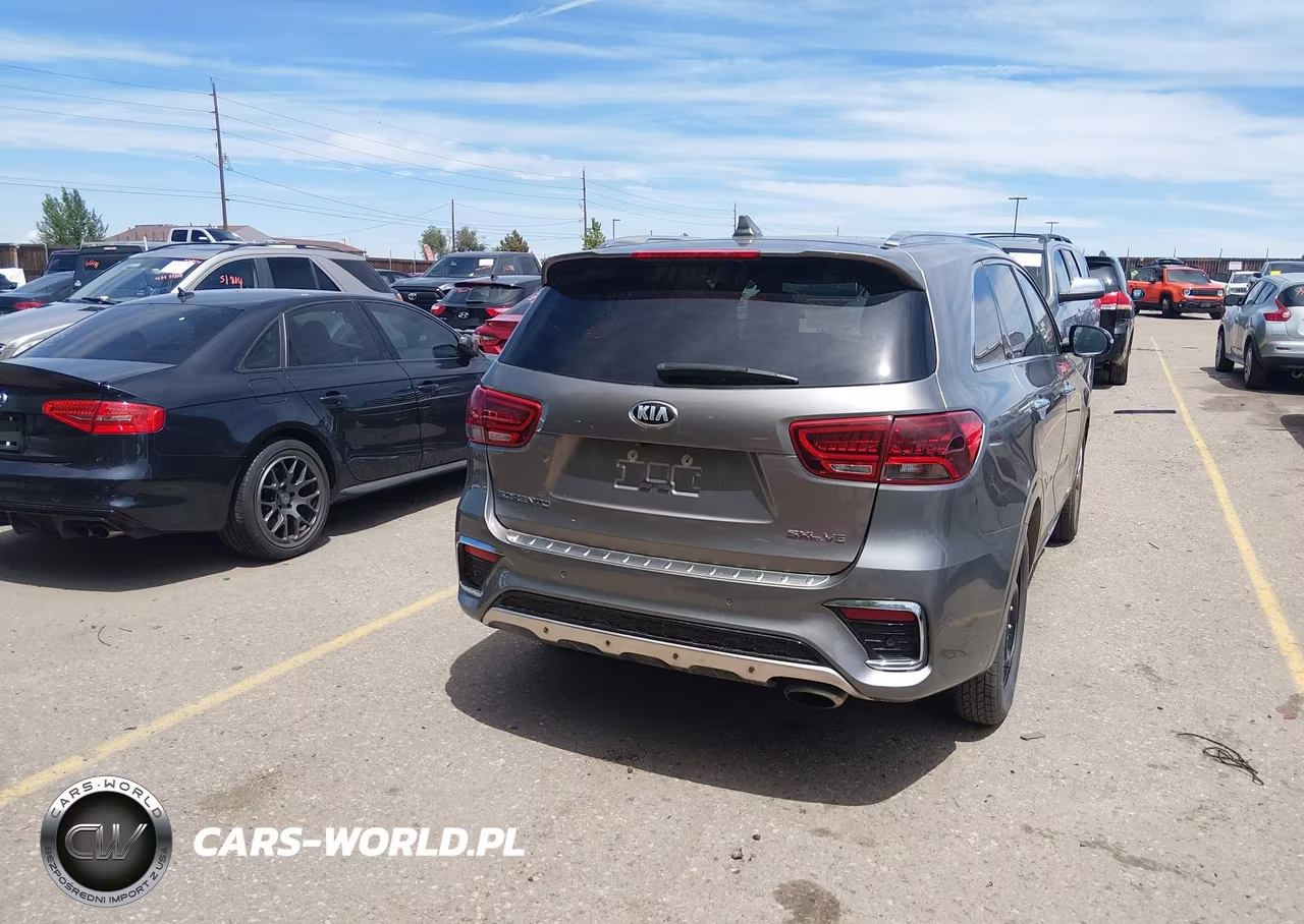 2019 Kia Sorento 3.3L Sxl VIN:5XYPKDA58KG459932 - 16