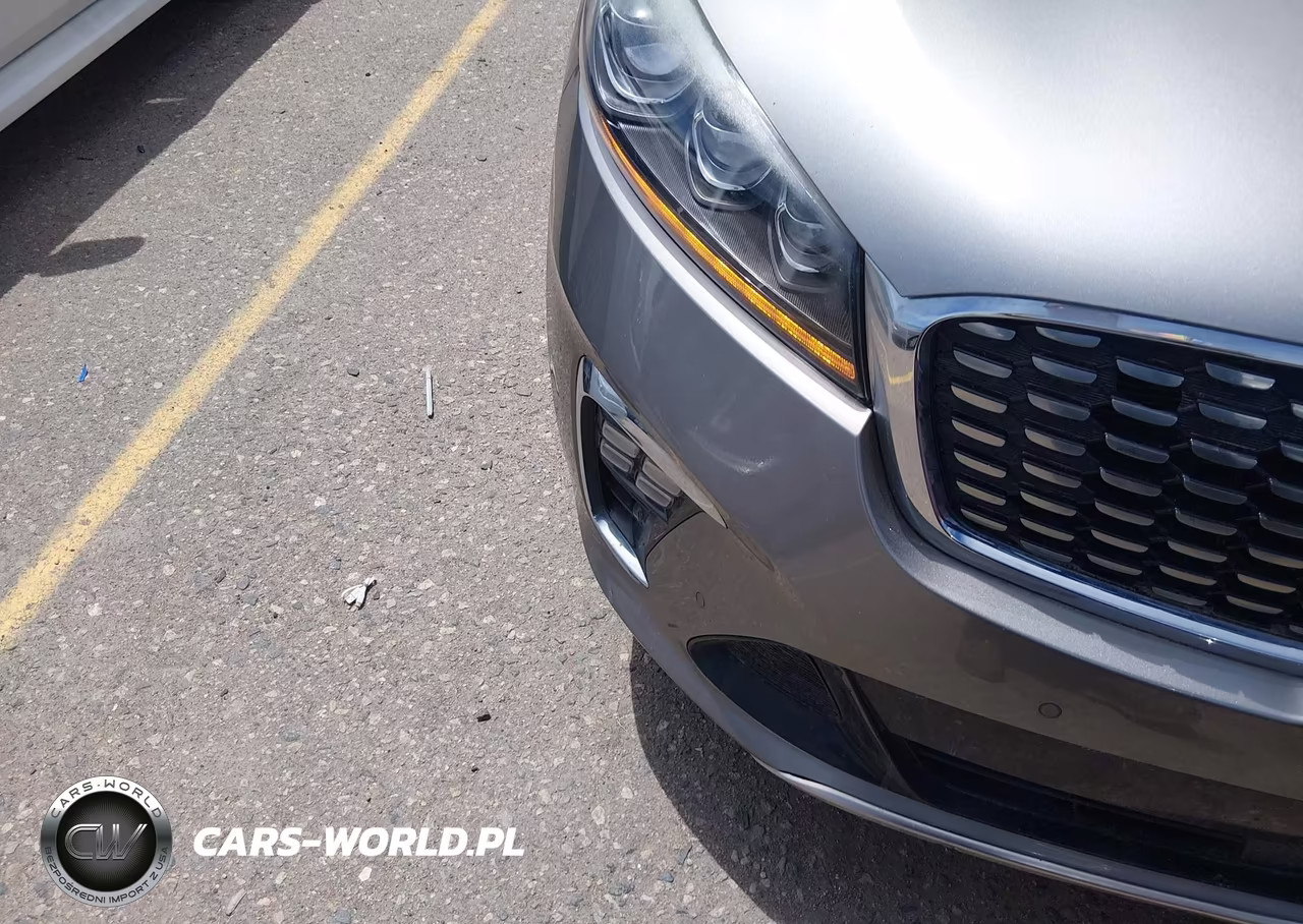 2019 Kia Sorento 3.3L Sxl VIN:5XYPKDA58KG459932 - 6