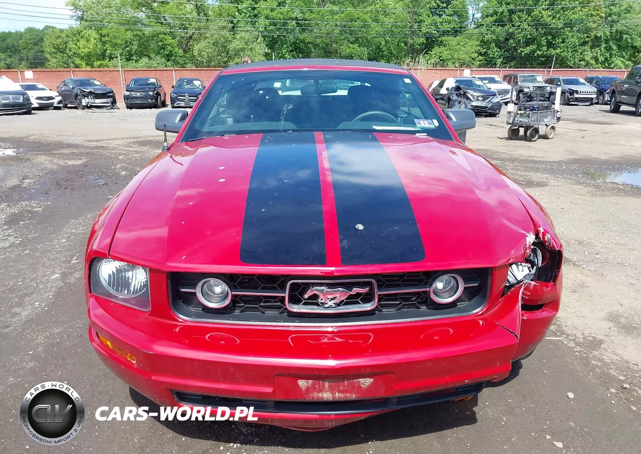 2009 Ford Mustang V6-V6 Premium VIN:1ZVHT84N395139535 - 12
