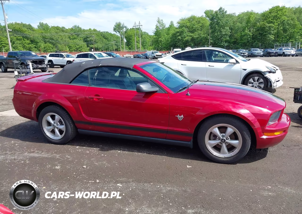 2009 Ford Mustang V6-V6 Premium VIN:1ZVHT84N395139535 - 13