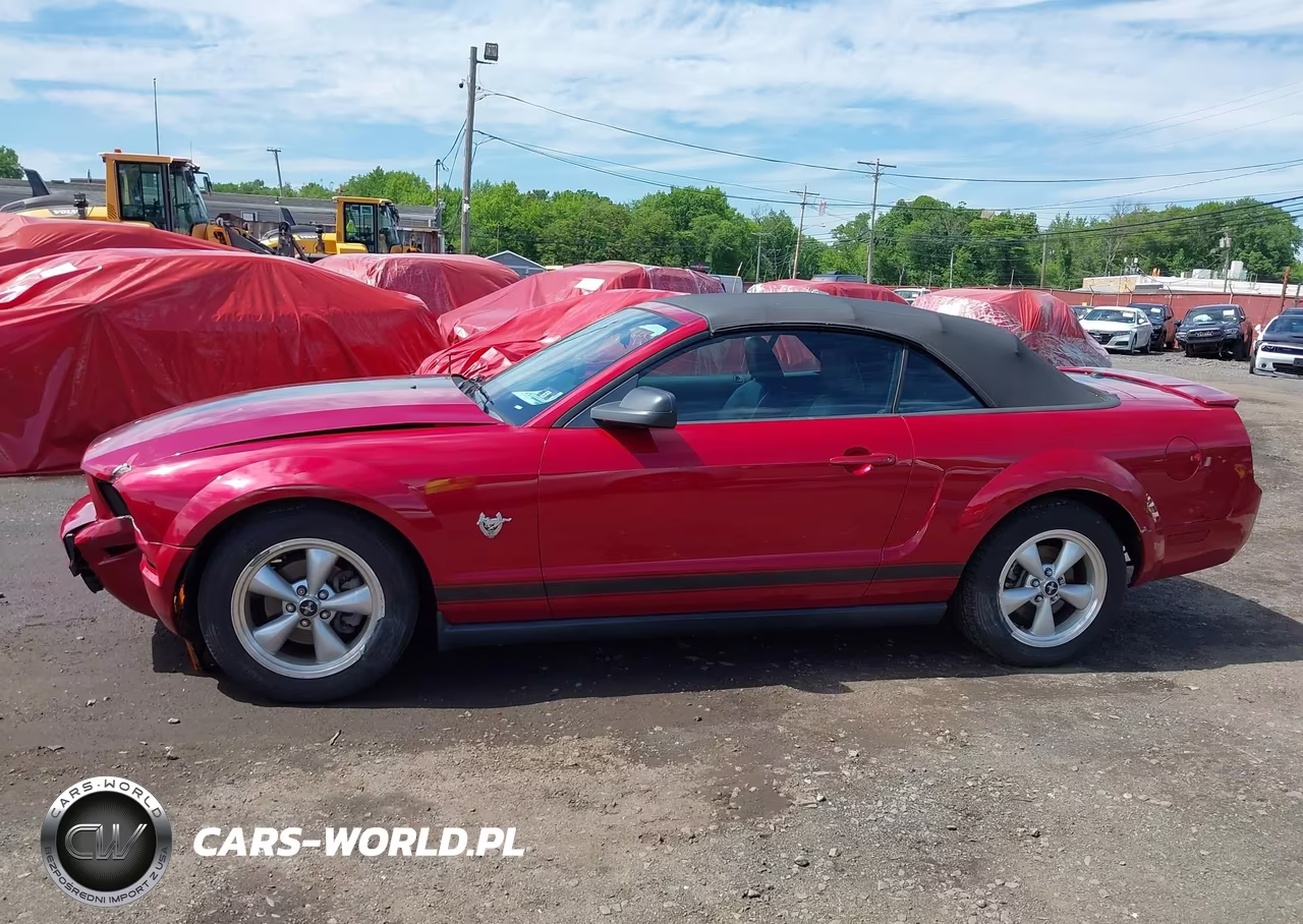 2009 Ford Mustang V6-V6 Premium VIN:1ZVHT84N395139535 - 14