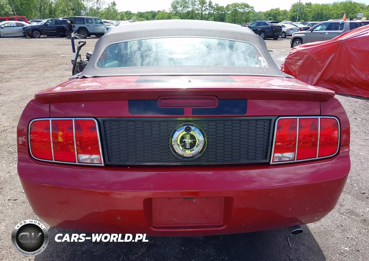 2009 Ford Mustang V6-V6 Premium VIN:1ZVHT84N395139535 - 16