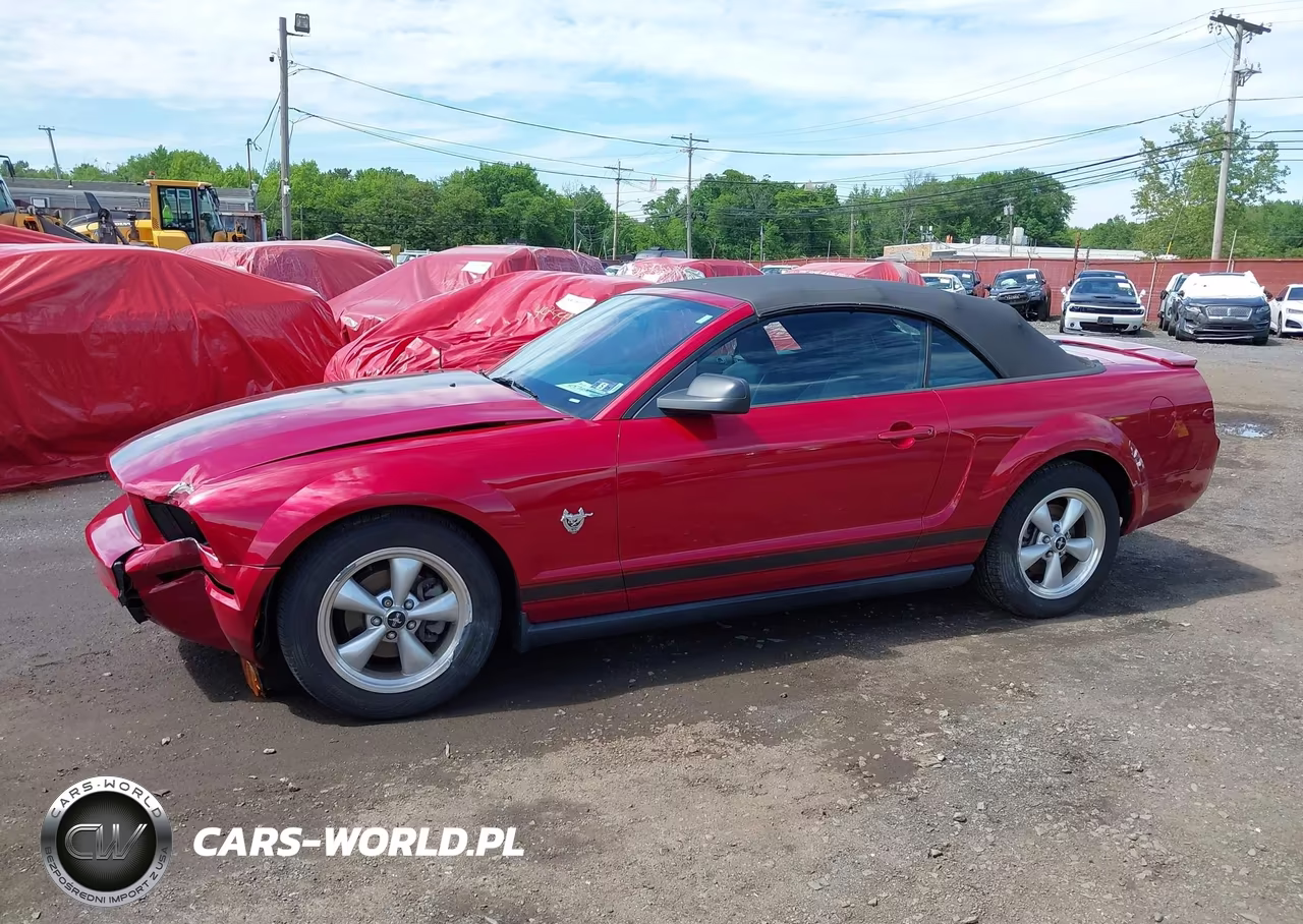 2009 Ford Mustang V6-V6 Premium VIN:1ZVHT84N395139535 - 17