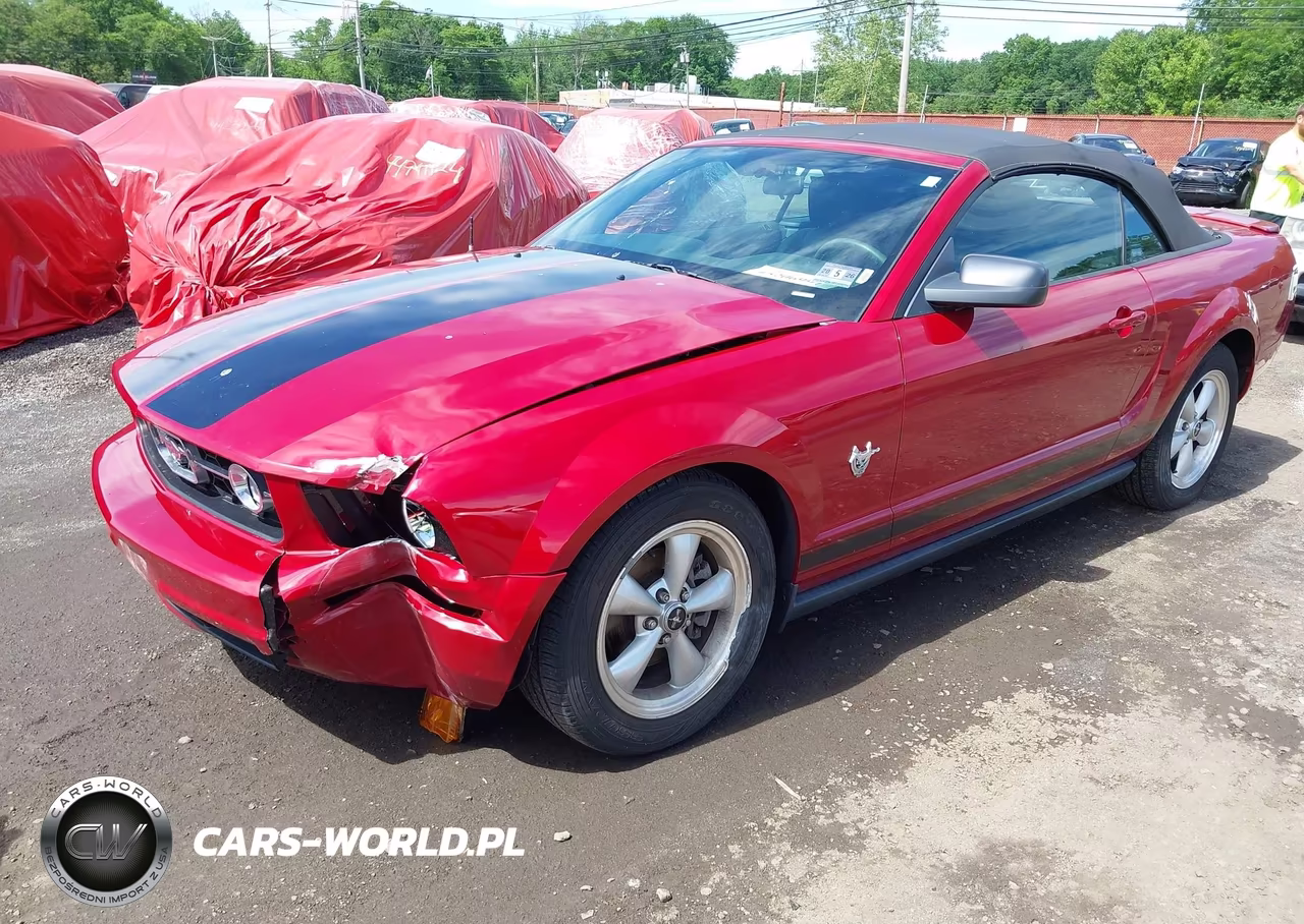 2009 Ford Mustang V6-V6 Premium VIN:1ZVHT84N395139535 - 2