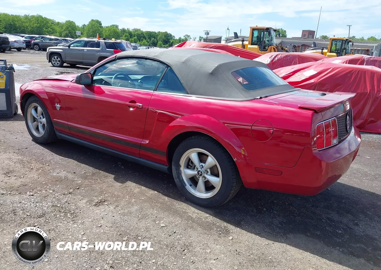 2009 Ford Mustang V6-V6 Premium VIN:1ZVHT84N395139535 - 3