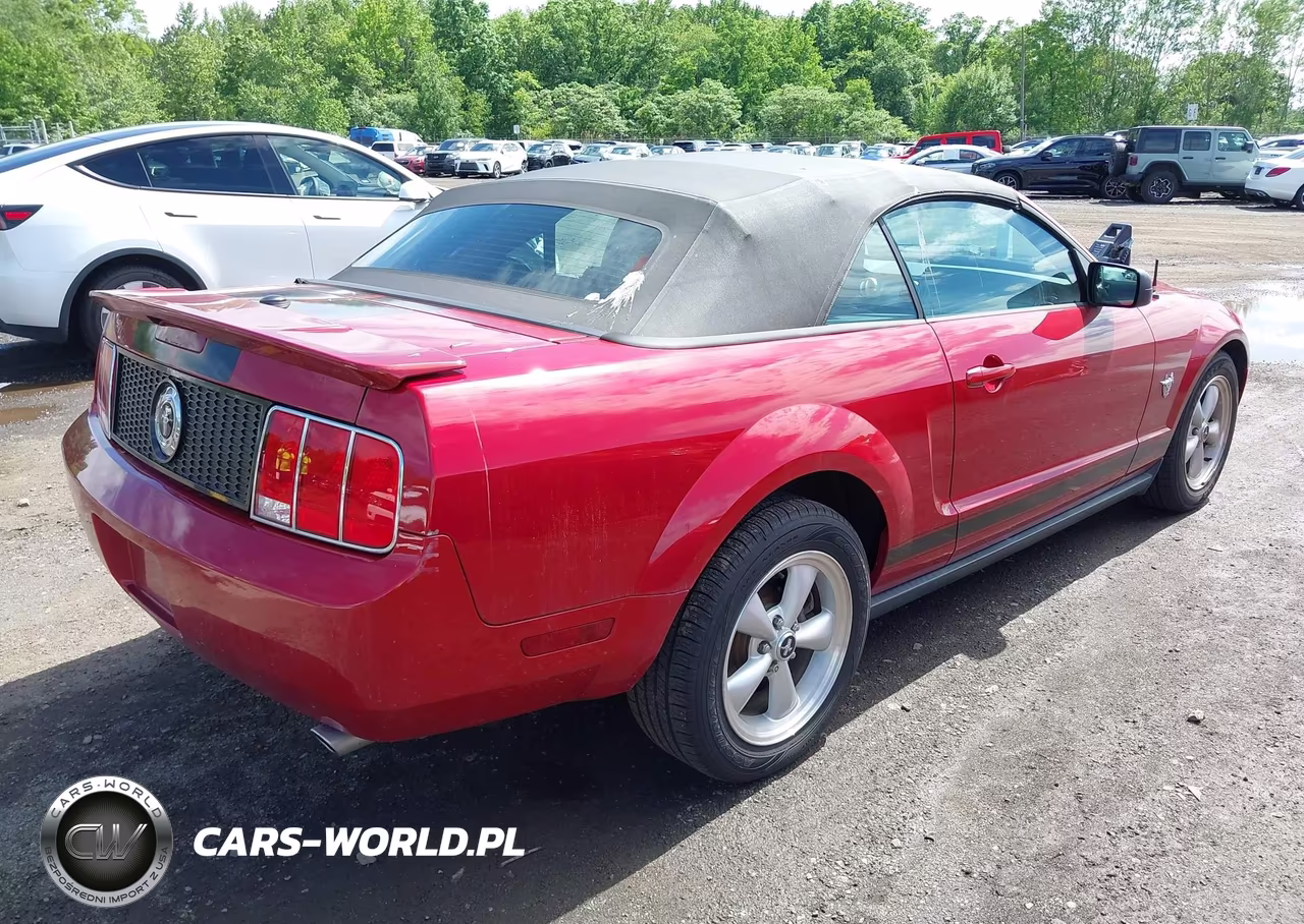 2009 Ford Mustang V6-V6 Premium VIN:1ZVHT84N395139535 - 4