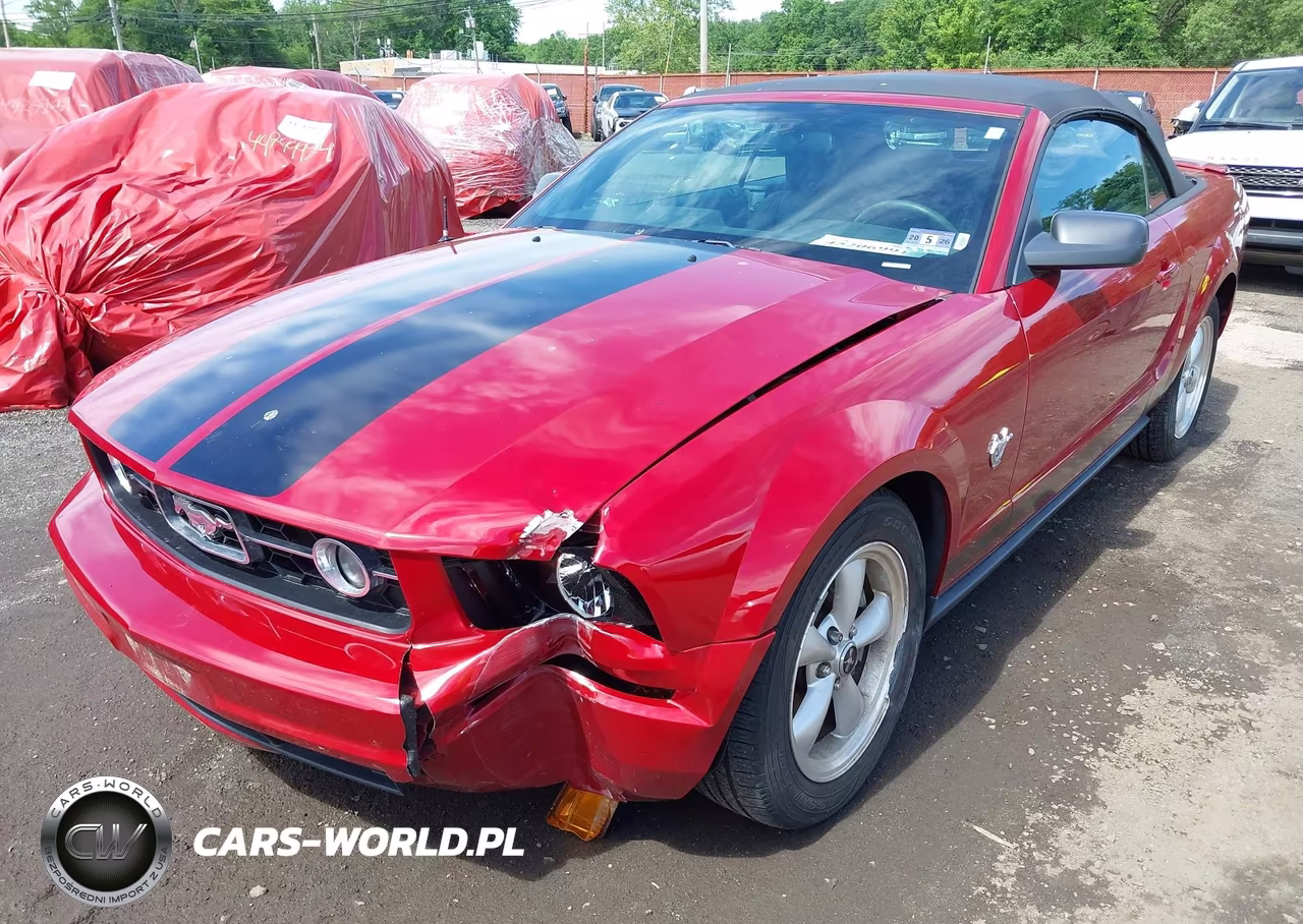 2009 Ford Mustang V6-V6 Premium VIN:1ZVHT84N395139535 - 6